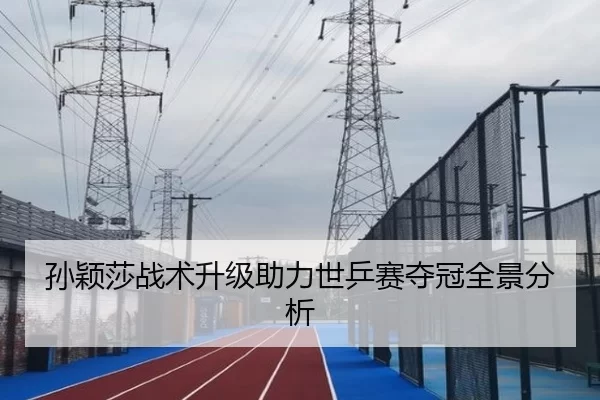 孙颖莎战术升级助力世乒赛夺冠全景分析