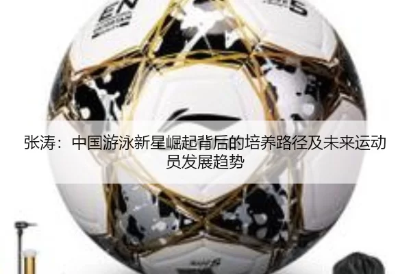 张涛：中国游泳新星崛起背后的培养路径及未来运动员发展趋势